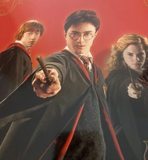 Harry Potter Witches & Wizards Album Hardcover Panini