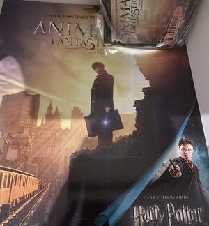 x50 Panini Fantastic Beasts Sticker Packs + Harry Potter Sticker Album (250 Sti