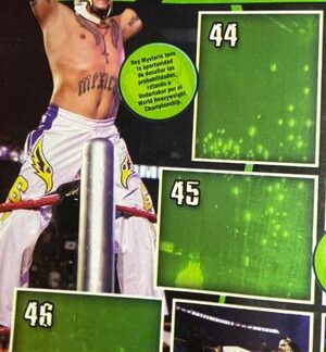 WWE Icons Sticker Album